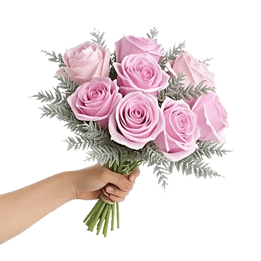 Pastel Pink Roses