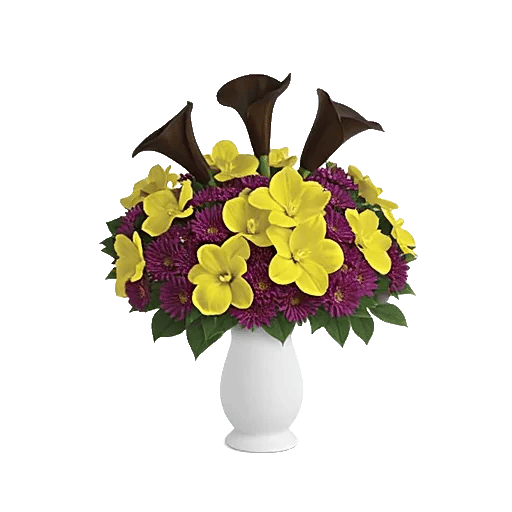 Elegant Calla Lilies