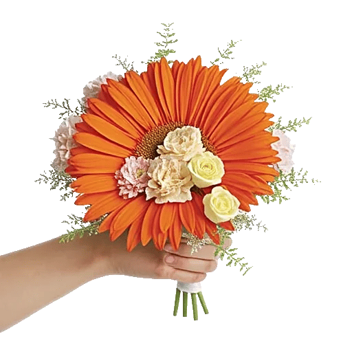 Petal Harmony Bliss