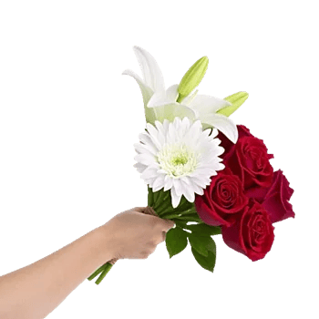 Crimson Rose Elegance