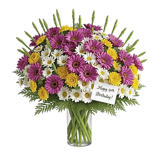 Enchanting Daisy Garden