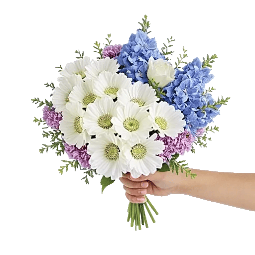 Blossom Petal Serenity