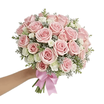 Blushing Rose Symphony