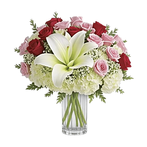 Ivory Blossom Radiance