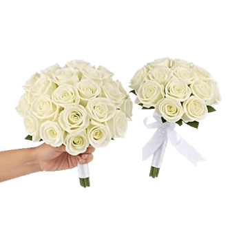 Ivory Garden Grace