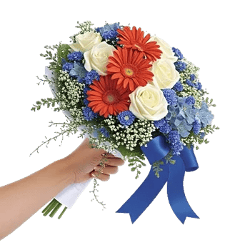 Serene Petal Harmony