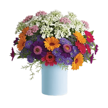 Ivory Blossom Radiance