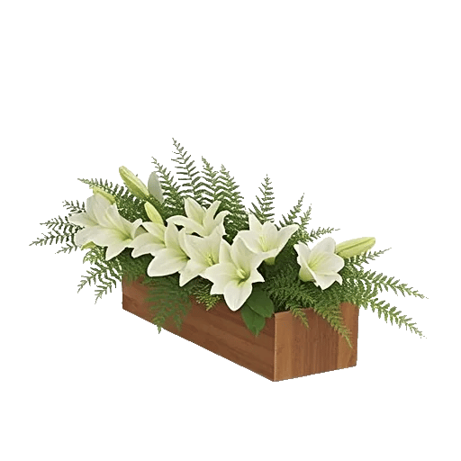 Graceful Lily Display