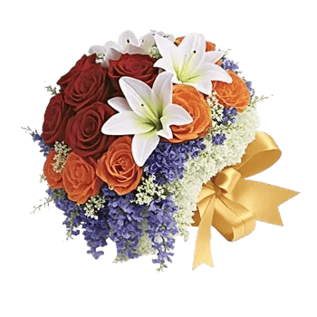 Blushing Rose Symphony