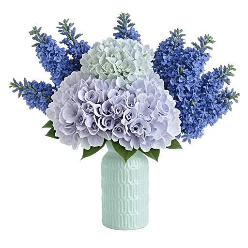Sapphire Bloom Whisper