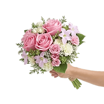 Pastel Pink Roses