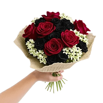 Crimson Rose Elegance