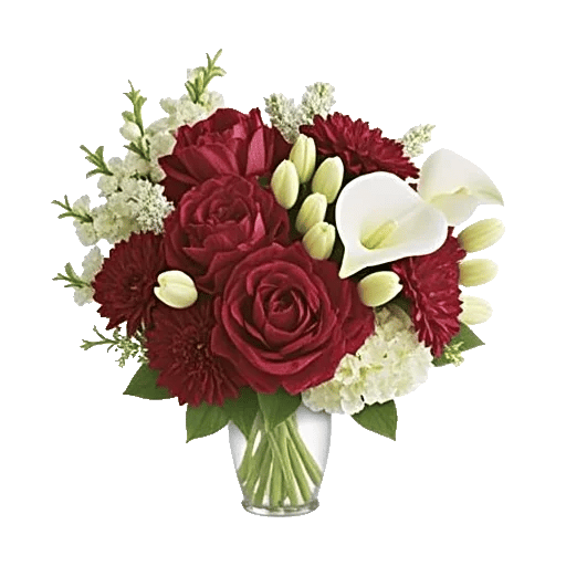 Petal Radiance Bliss