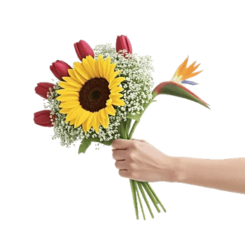 Tropical Sunflower Burst