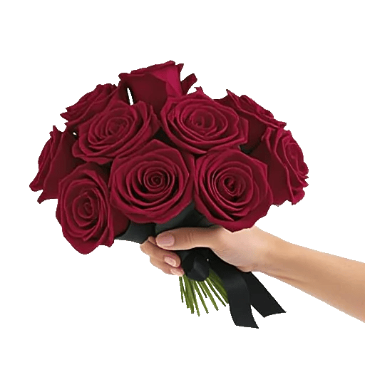 Crimson Rose Elegance