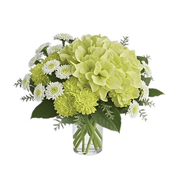 Emerald Bloom Cascade