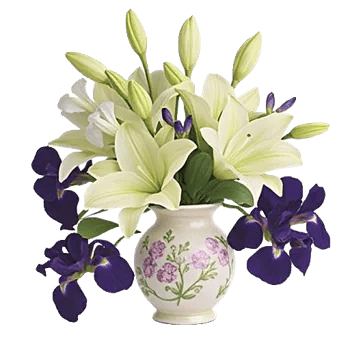 Serene Lily Cascade