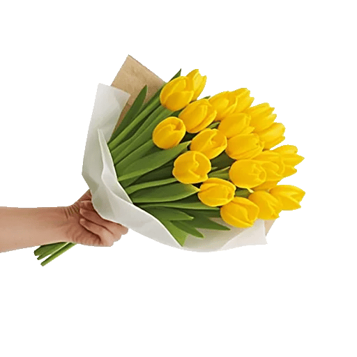 Velvet Tulip Display