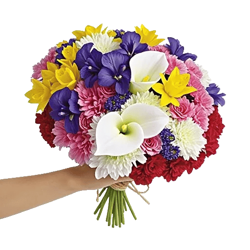 Elegant Calla Lilies