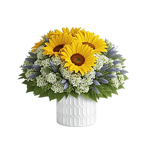 Twinkling Sunflower Dance