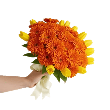 Vibrant Orange Delight
