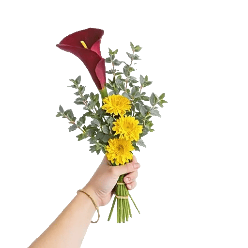 Elegant Calla Lilies