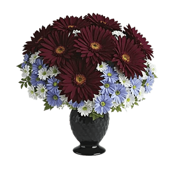 Crimson Blossom Harmony