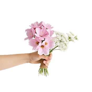 Blossom Breeze Harmony