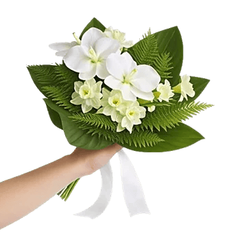 Modern White Orchids