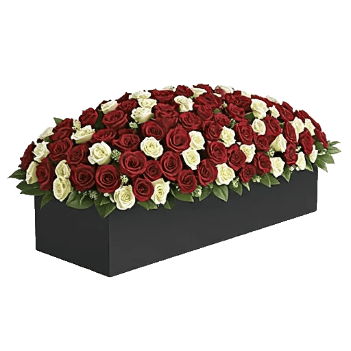 Crimson Rose Elegance