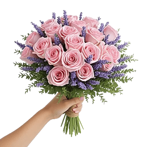 Pastel Pink Roses