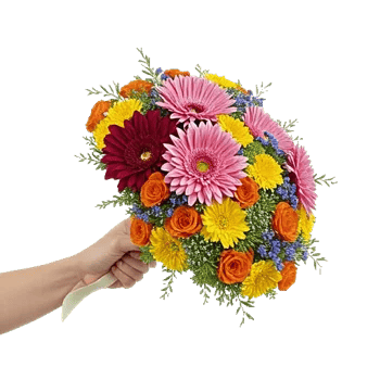 Blushing Rose Symphony