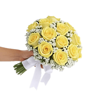 Blushing Rose Symphony