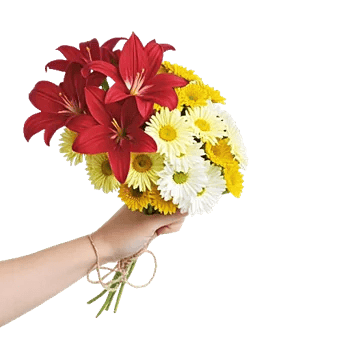 Graceful Lily Display