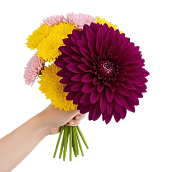 Radiant Bloom Cascade