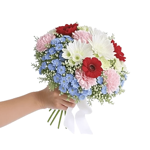 Blossom Petal Serenity