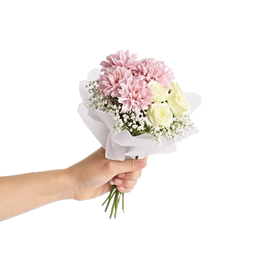 Pink Pastel Roses