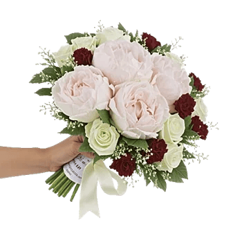Peony Petal Harmony