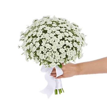 Blossom Radiant Whisper