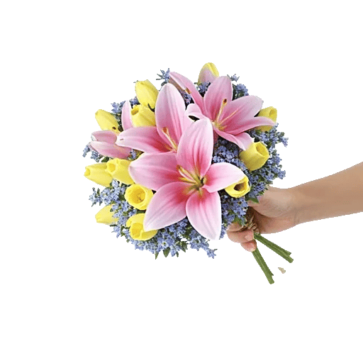 Blossom Harmony Display