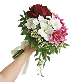 Delicate Petal Cascade