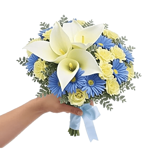 Elegant Calla Lilies