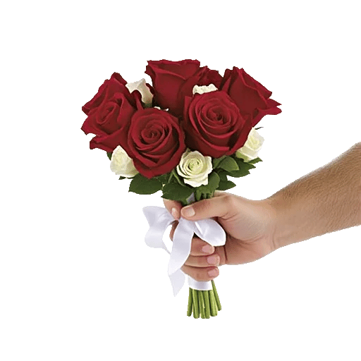 Crimson Rose Elegance