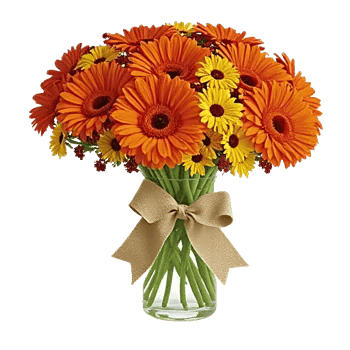 Petal Radiance Bliss