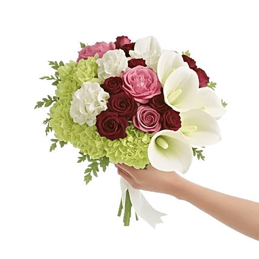 Delicate Petal Cascade