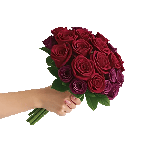 Crimson Rose Elegance