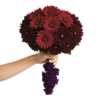 Radiant Bloom Cascade