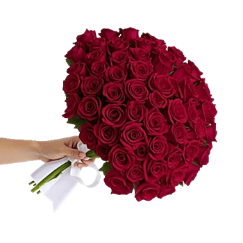 Crimson Rose Elegance