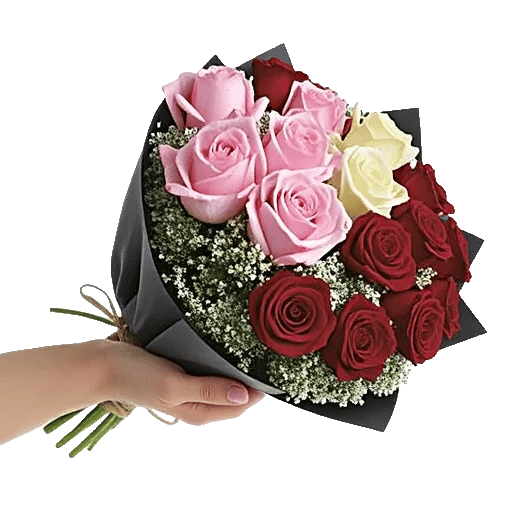 Blushing Rose Symphony