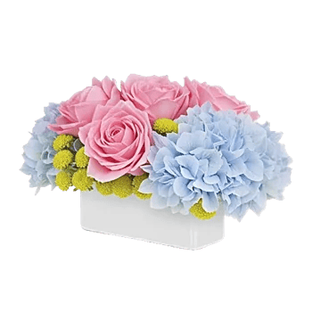 Delicate Petal Cascade